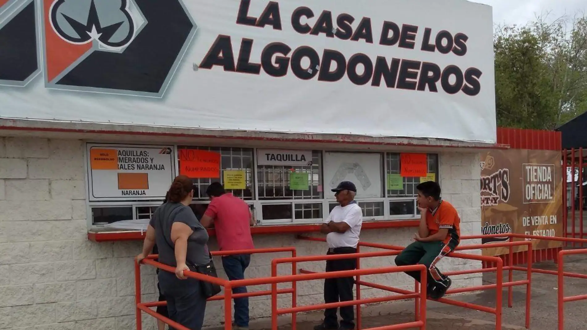 Viene Toño de Valdés al arranque de la serie final del beisbol (5)